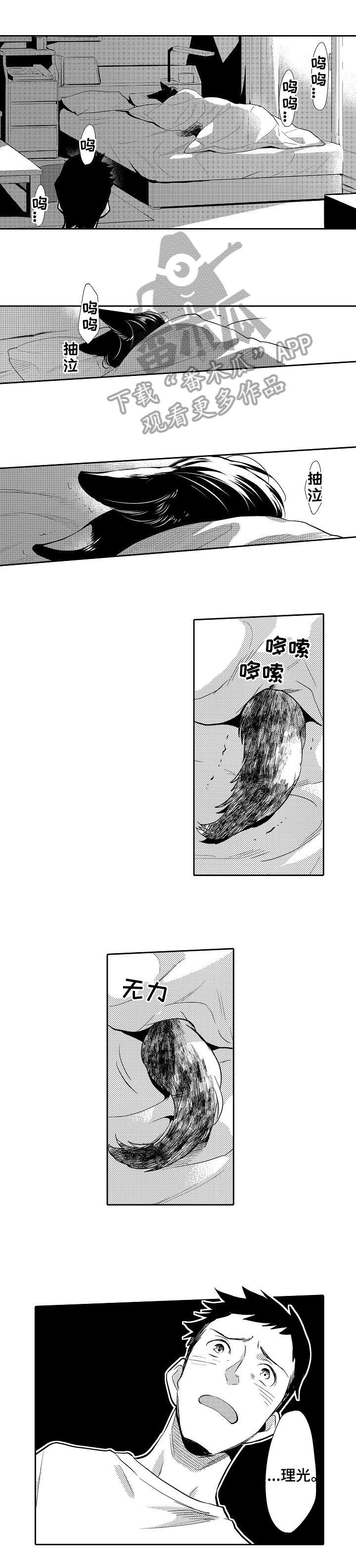 第19章：竟然3