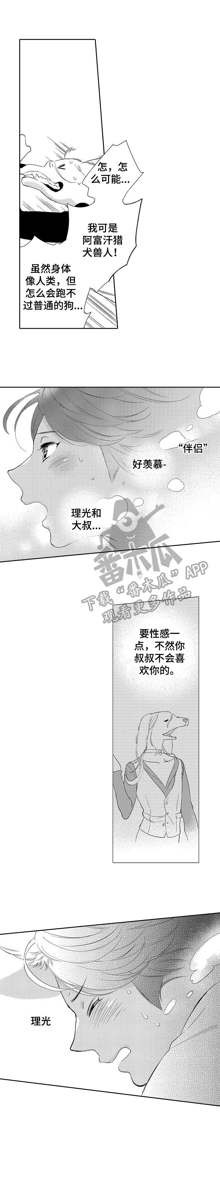 第15章：追3