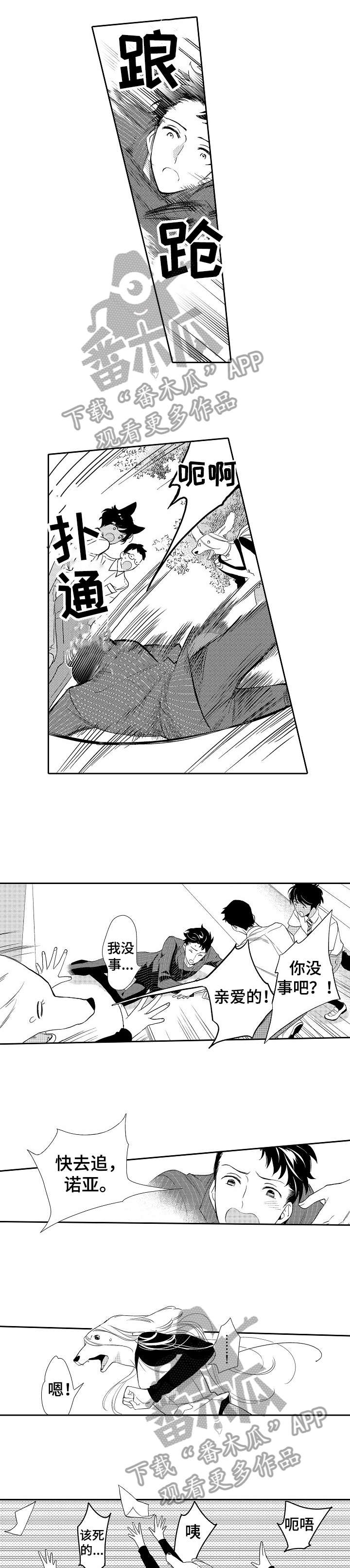 第15章：追0