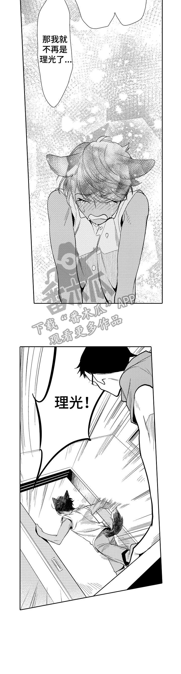 第17章：不需要4