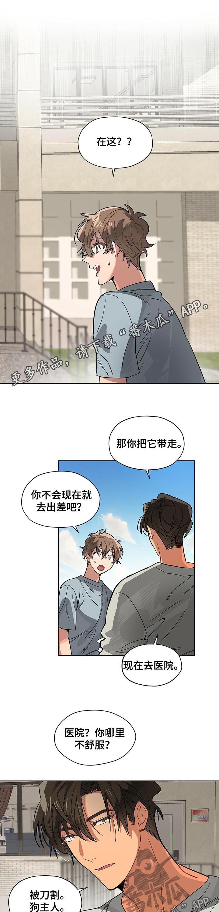 第57章：狗主人0