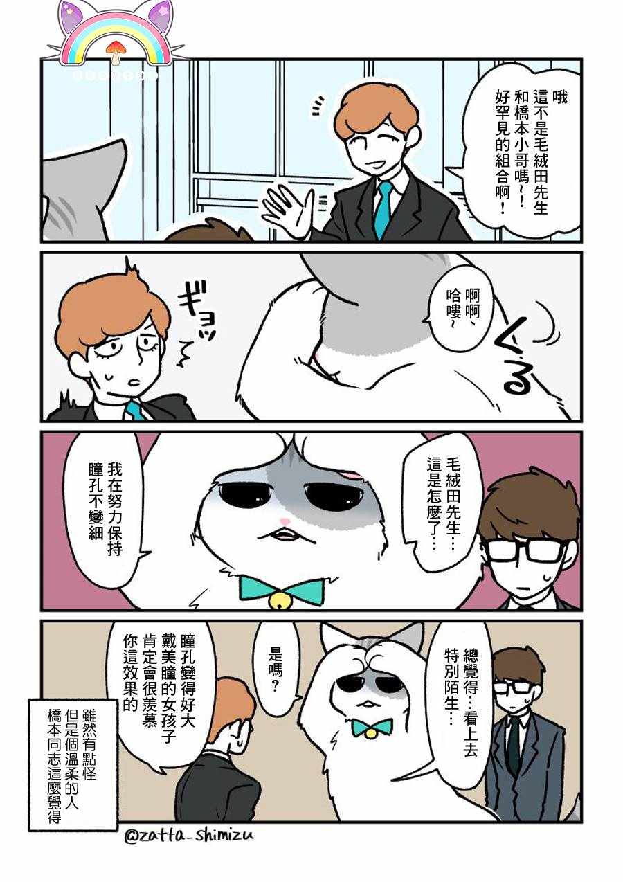 变成猫之后番外132