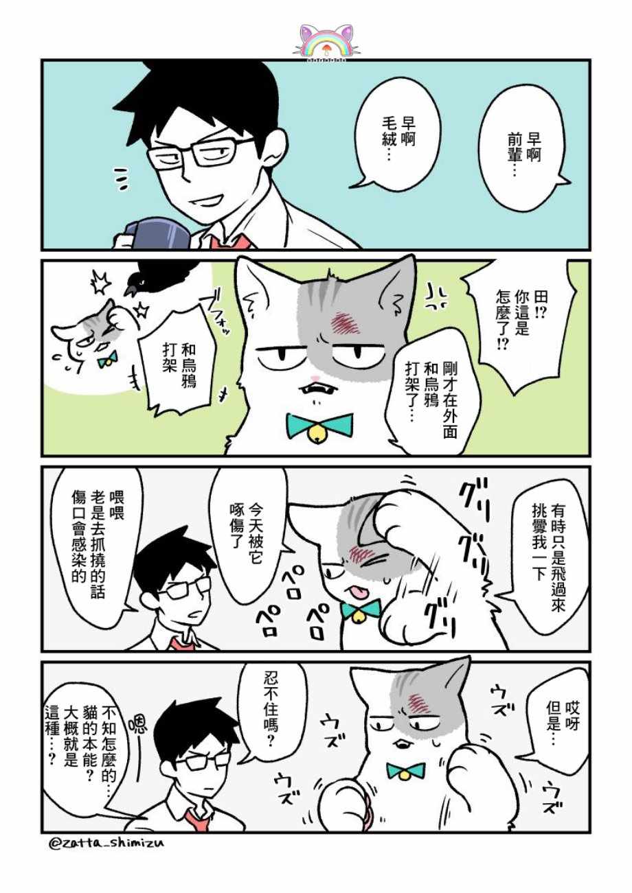 变成猫之后番外154