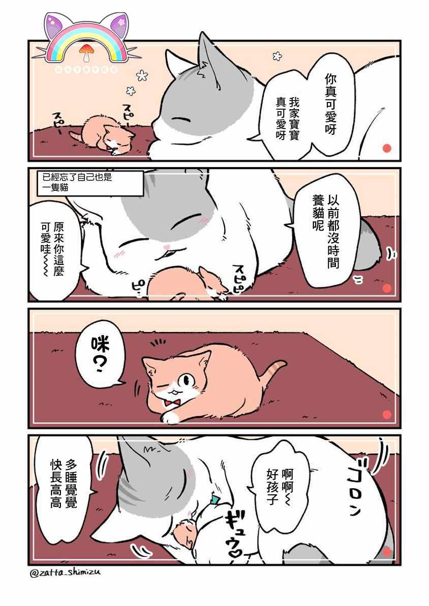 变成猫之后番外040