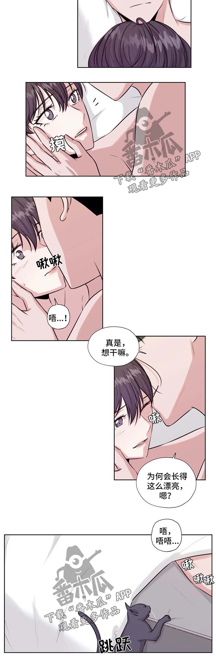 第39章：在这生活吧2