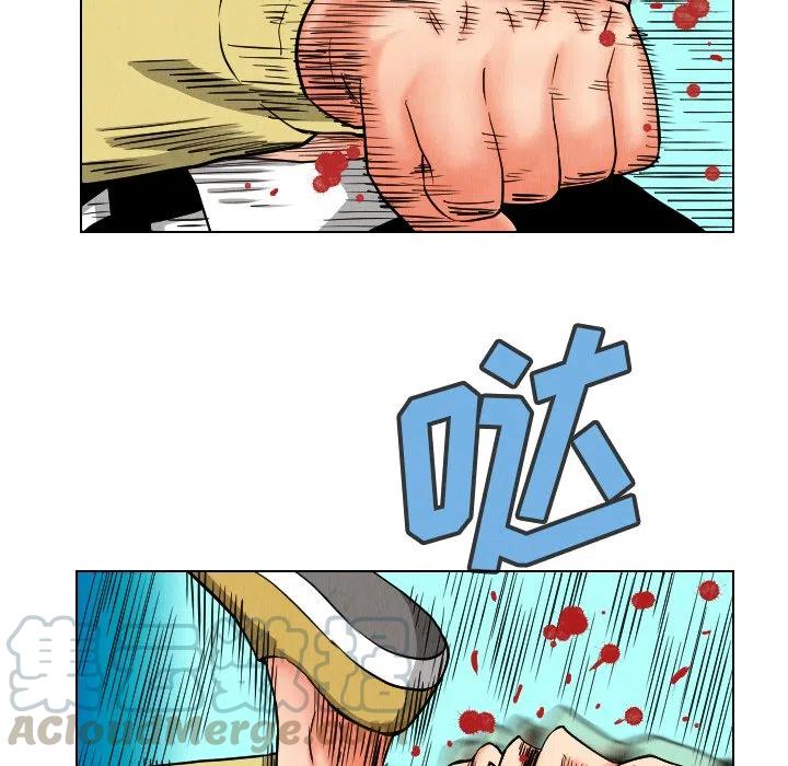 231