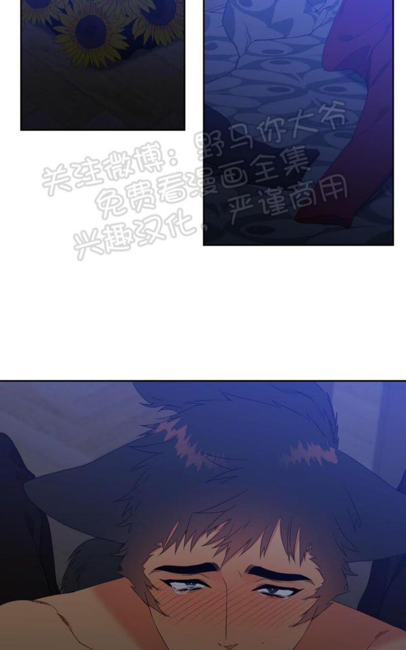 第90话1
