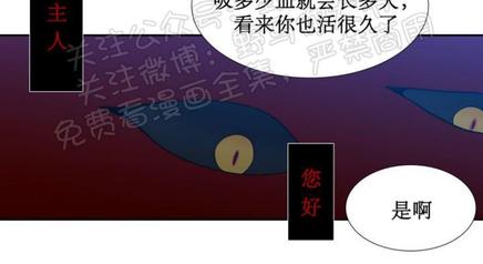第91话4