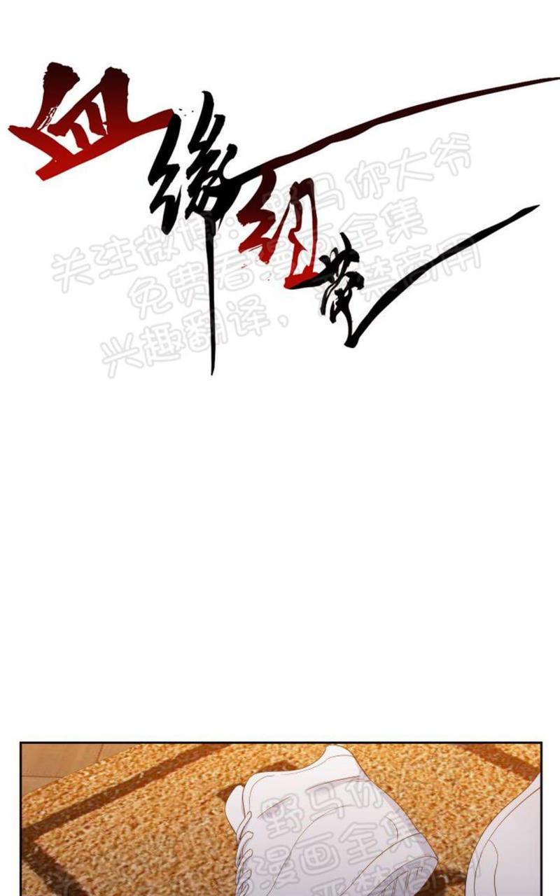 第95话0