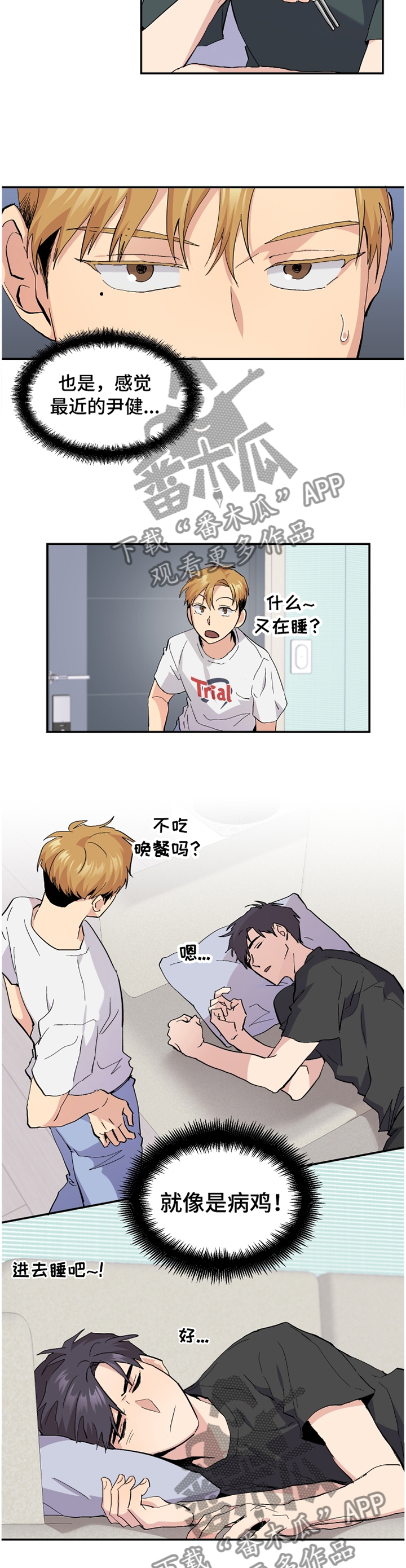 第47章：【番外】"露营"1