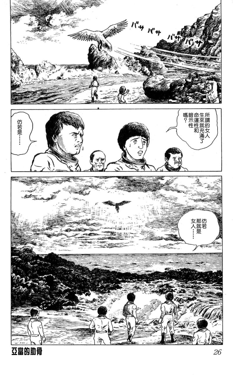 亚当的肋骨3