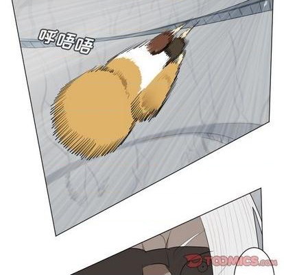 第156话1