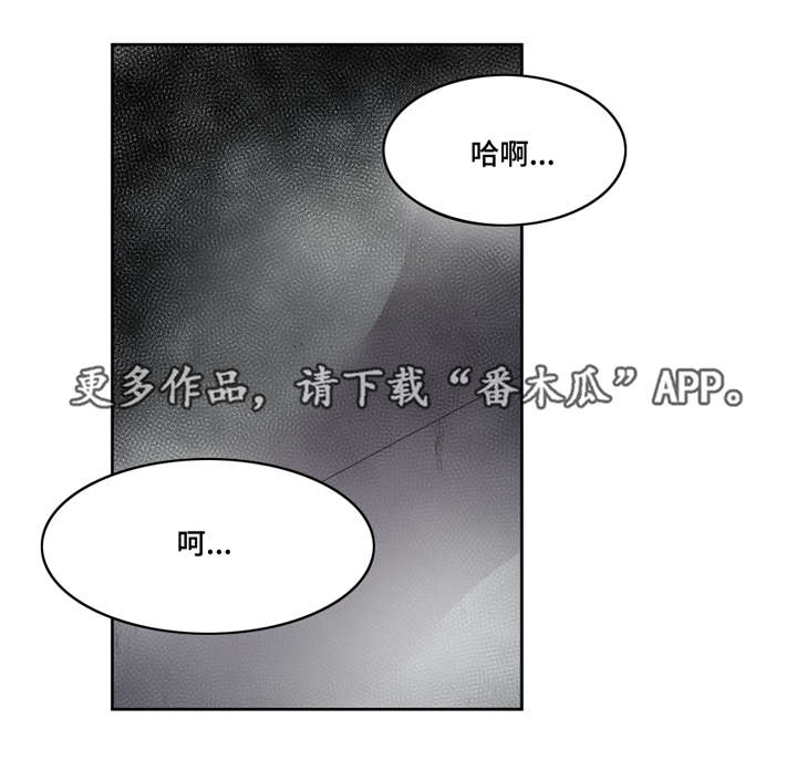 第19章：被吃掉了0