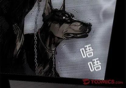 481