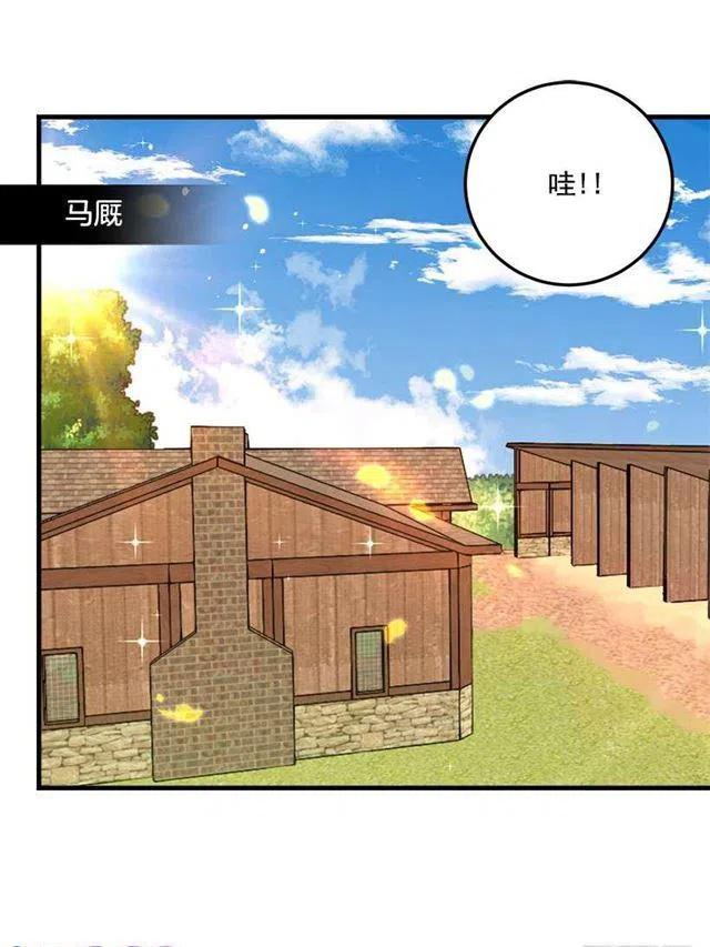 精灵石2