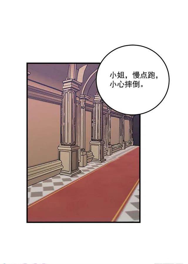 贴身骑士埃默尔2