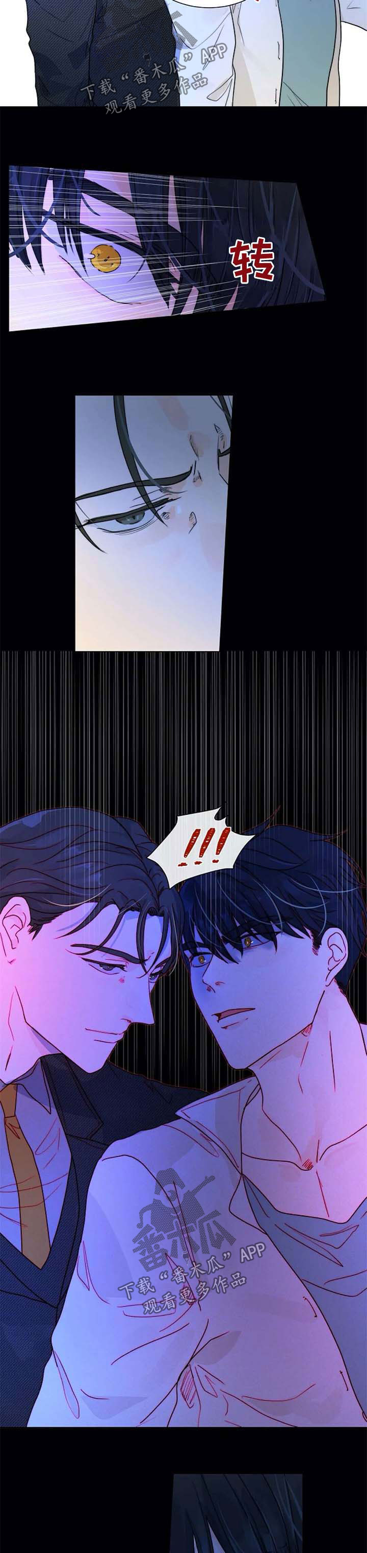 第56章：一辈子保护你1