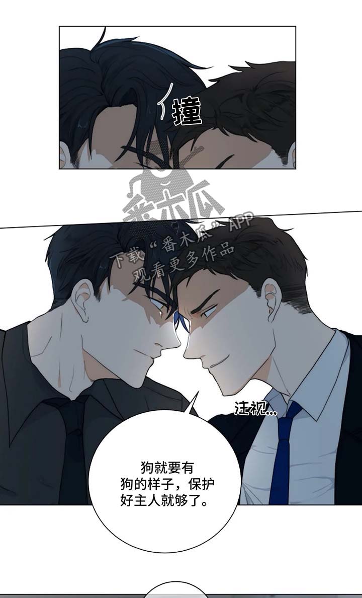 第17章：针锋相对1
