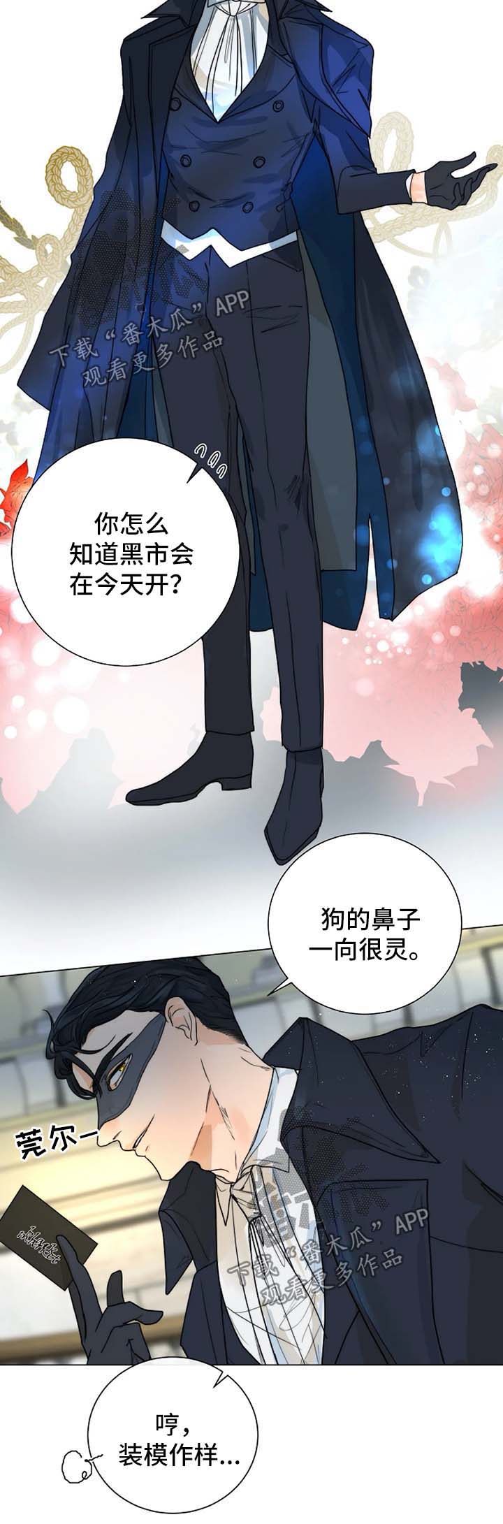 第34章：进入黑市1
