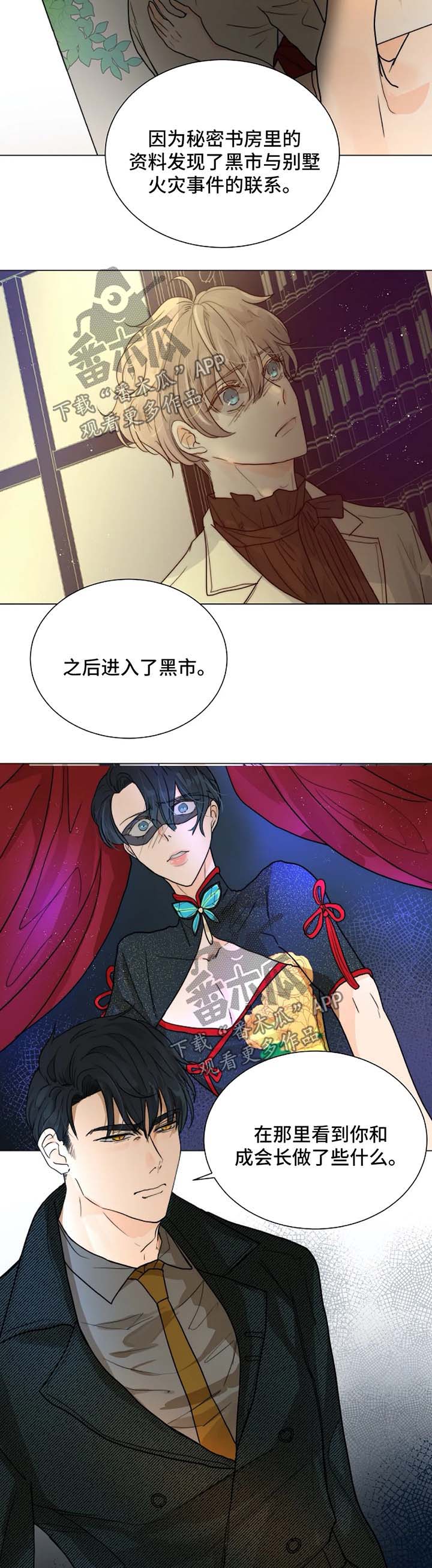 第48章：汇报报告2