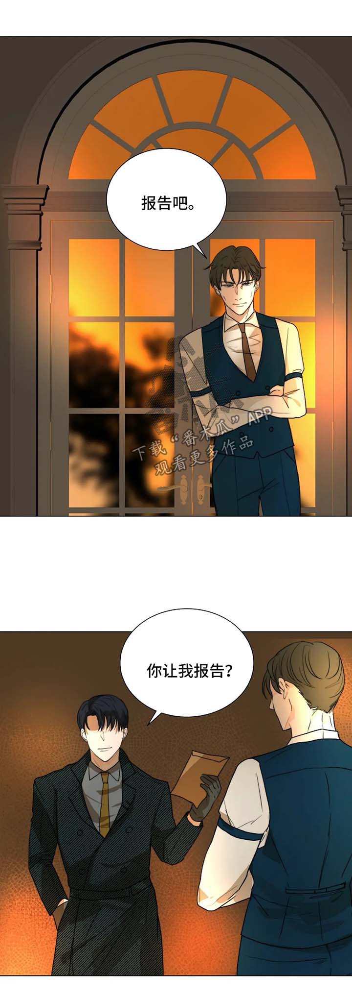 第48章：汇报报告0