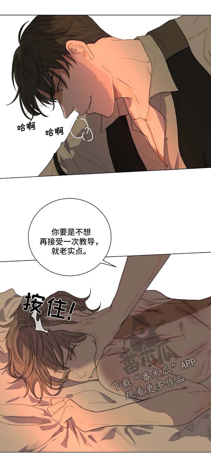 第21章：木偶0