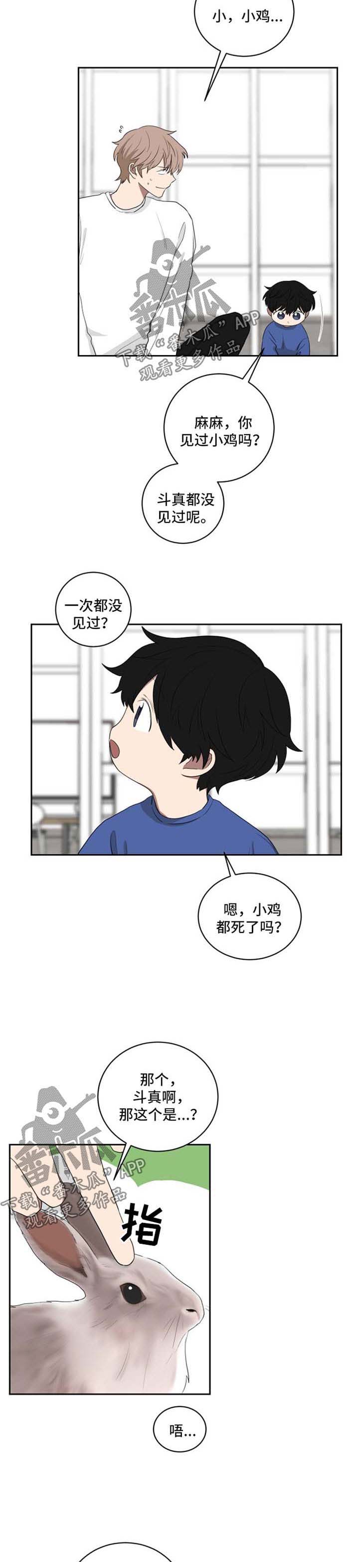 第37章：想去动物园2