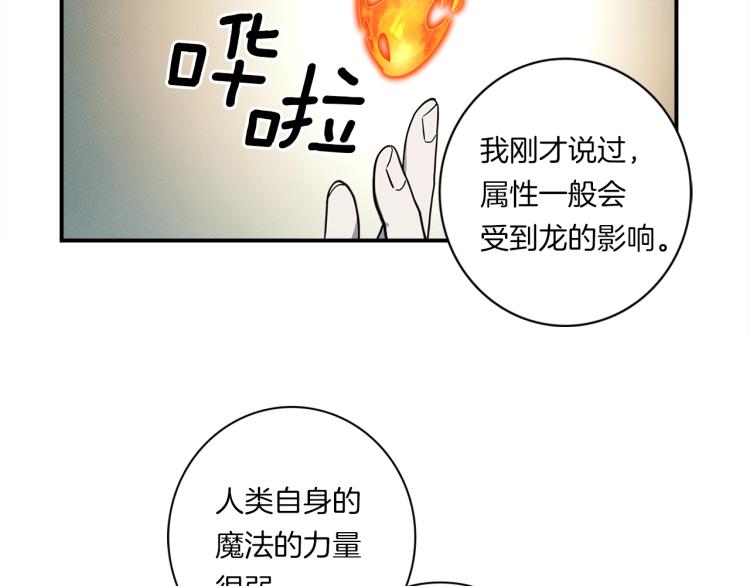 第74话 龙的属性4