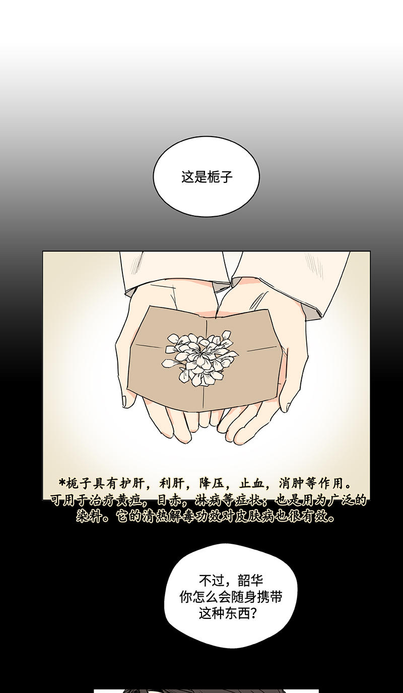 第51话2