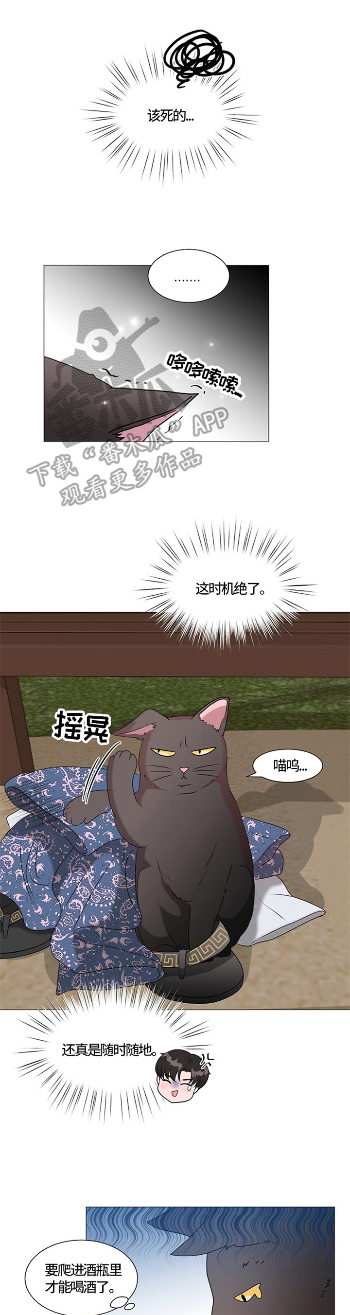 第25章：猫咪丢失3