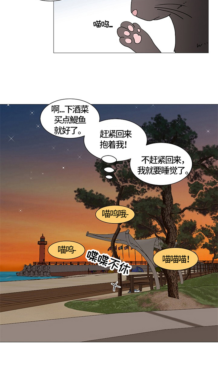第25章：猫咪丢失4