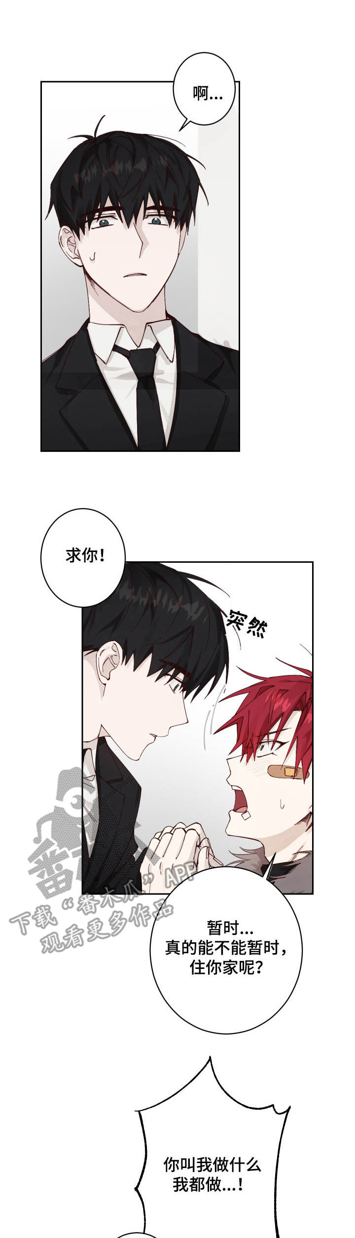 第4章：收留0
