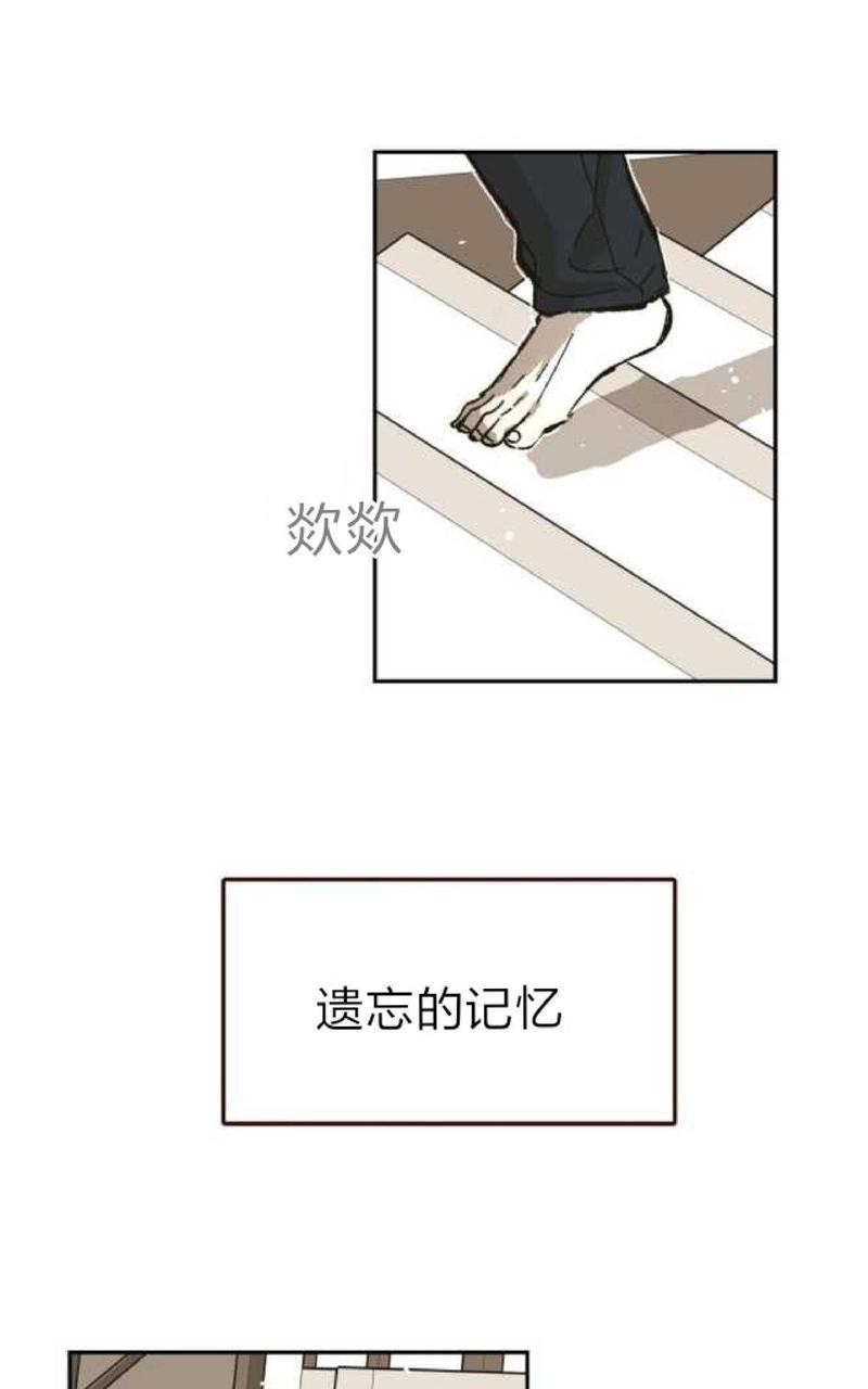 第62话1