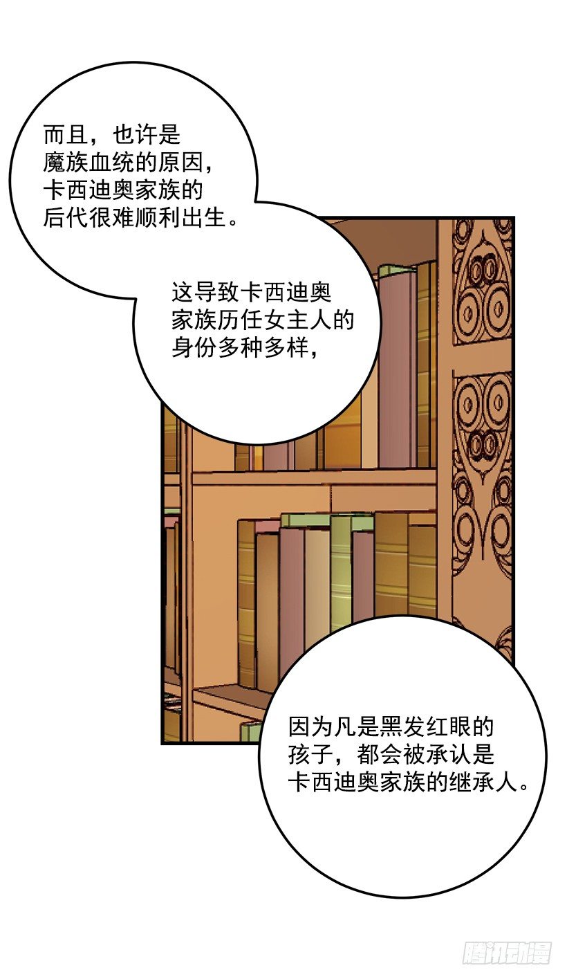 公爵家族的秘密0