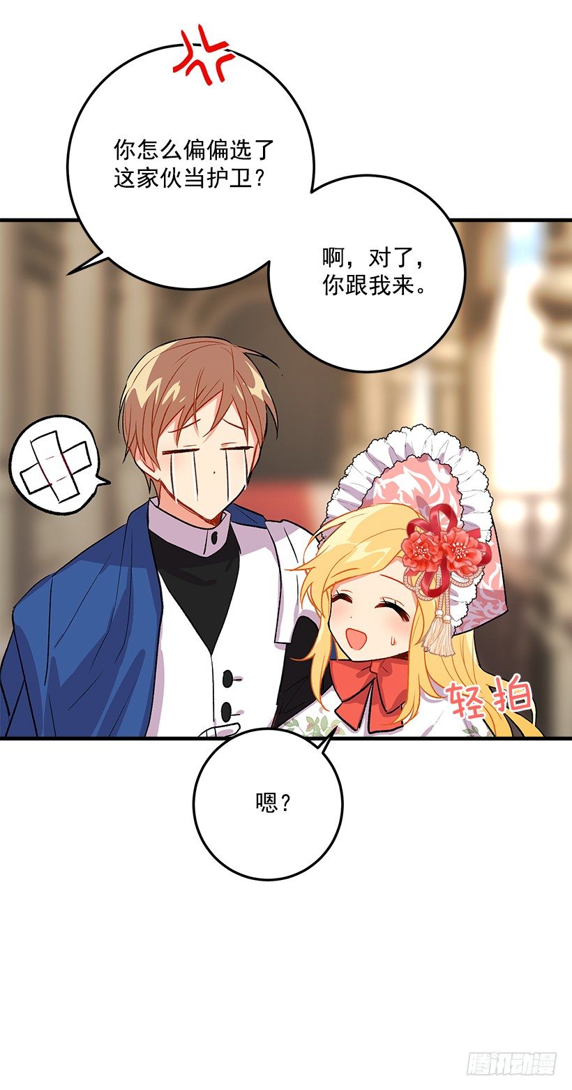 贴身骑士埃默尔1
