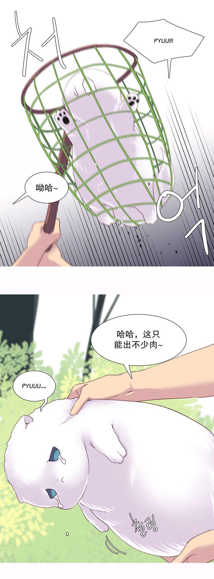 第29章：失败4