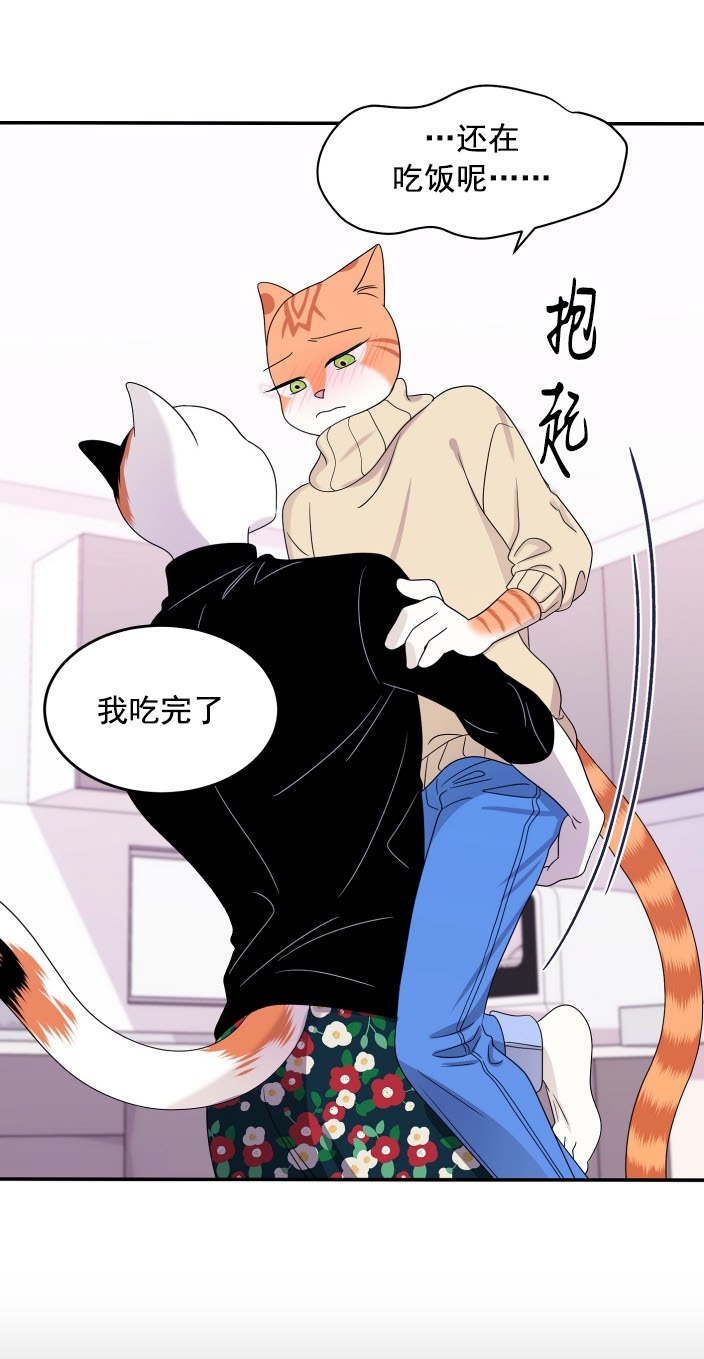 第05话0