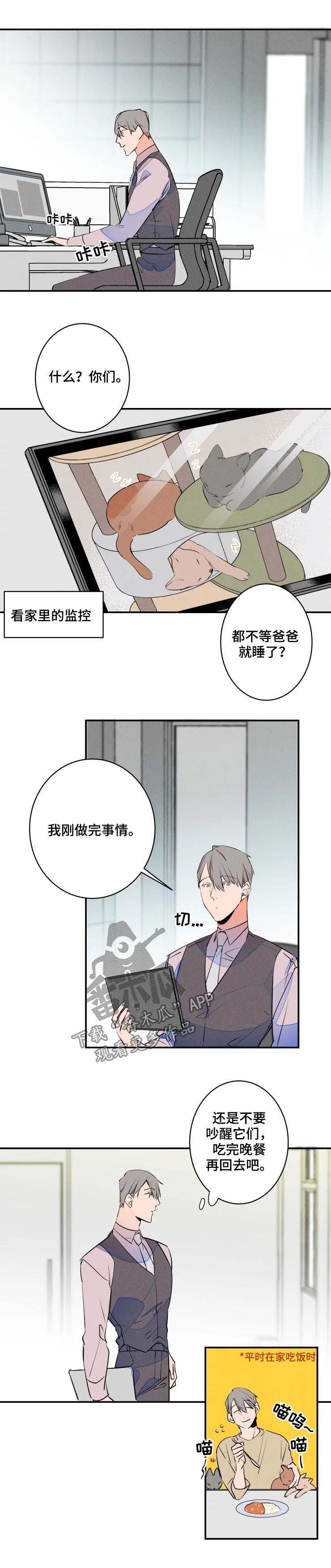 第53章：为什么会这么想3