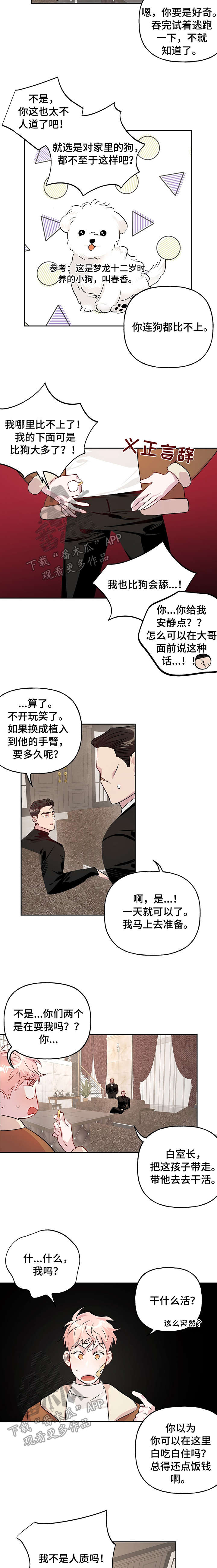 第16章：追踪器4