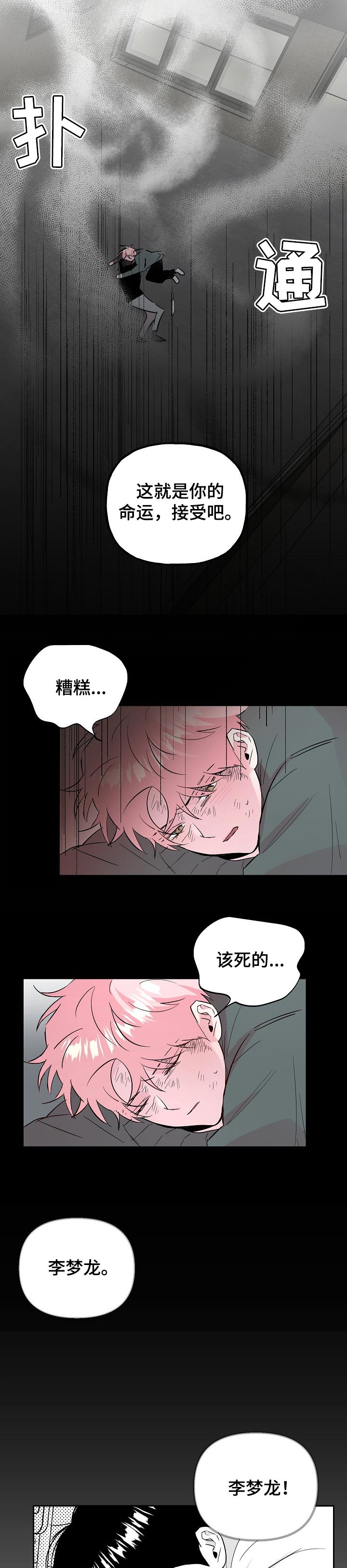第89章：【第二季】适合花的女人1