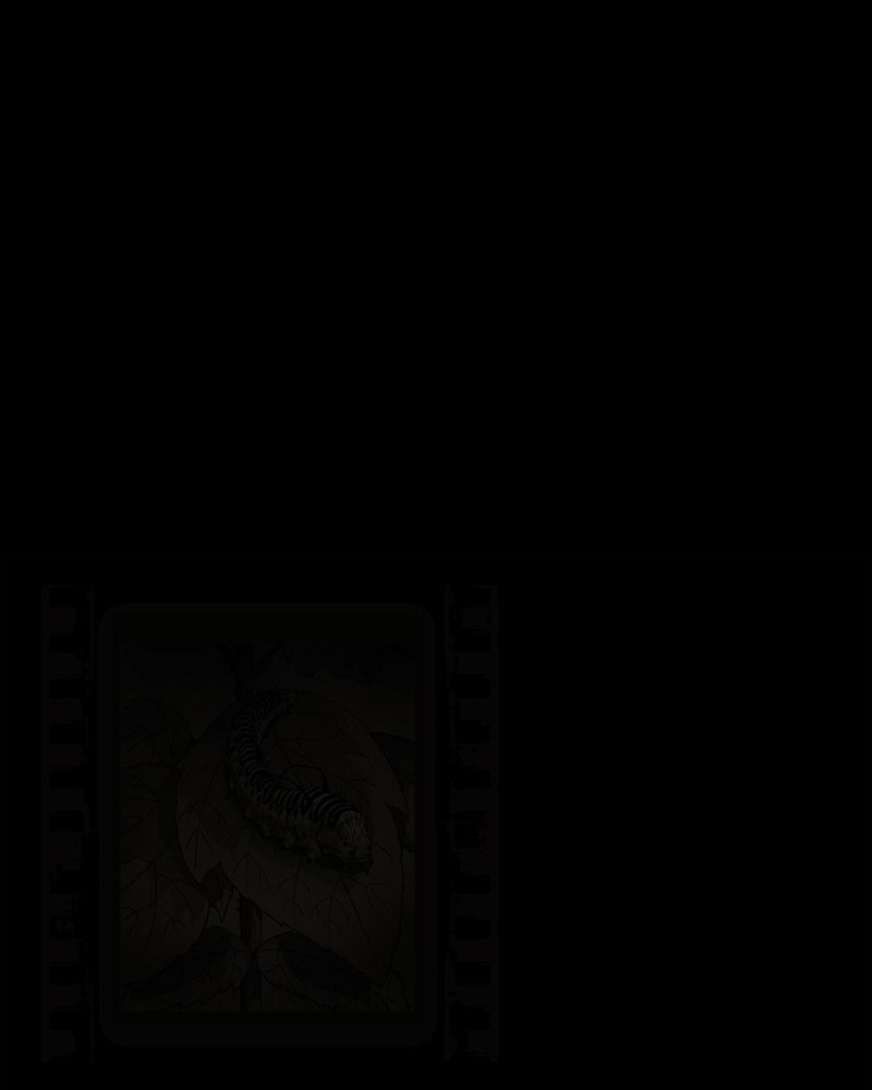 第54章：完结3