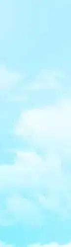 443