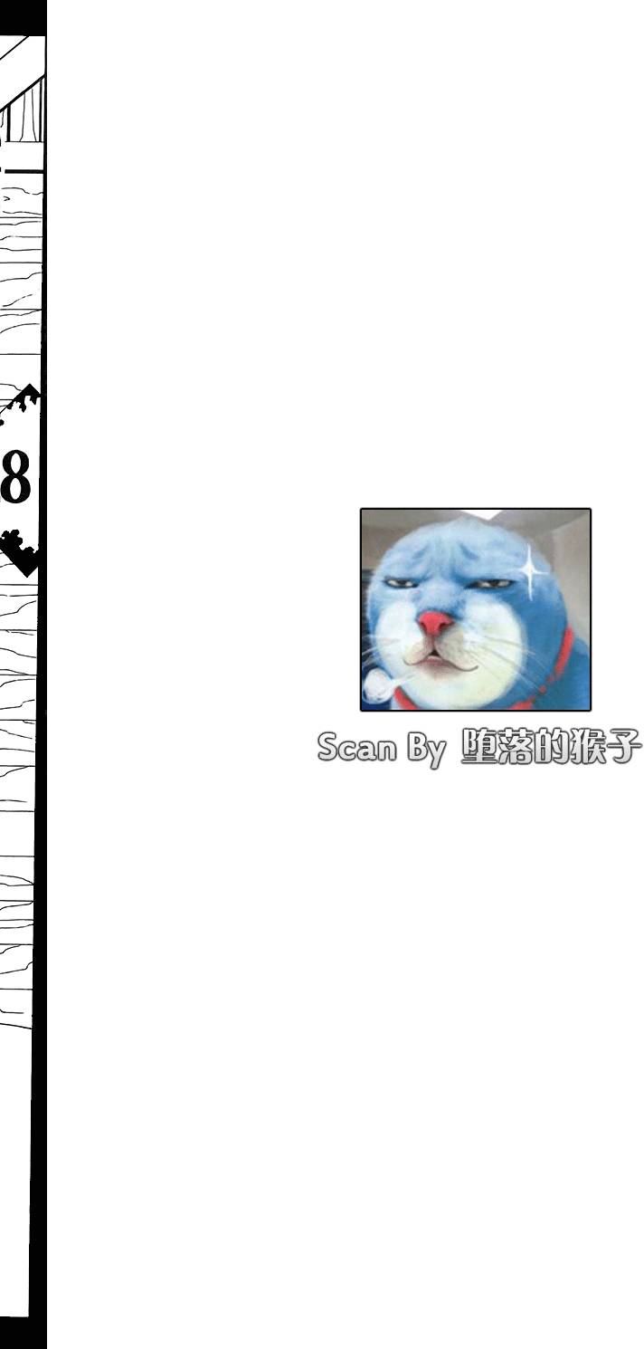 第28卷3