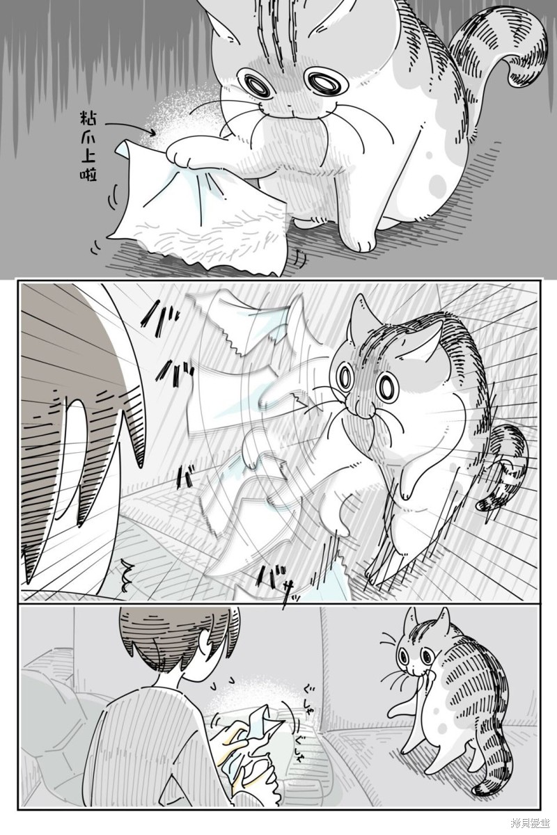 第206话3