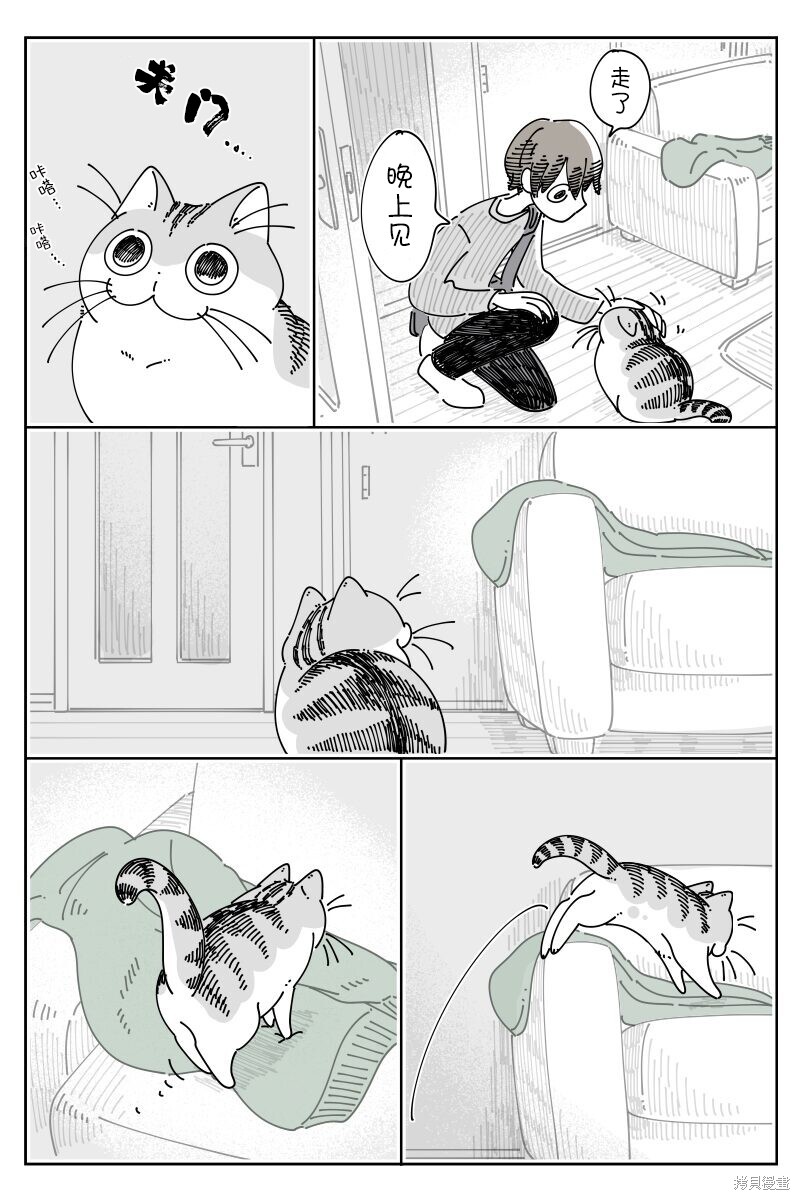 第205话2