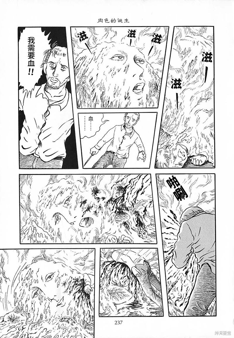 肉色的诞生4