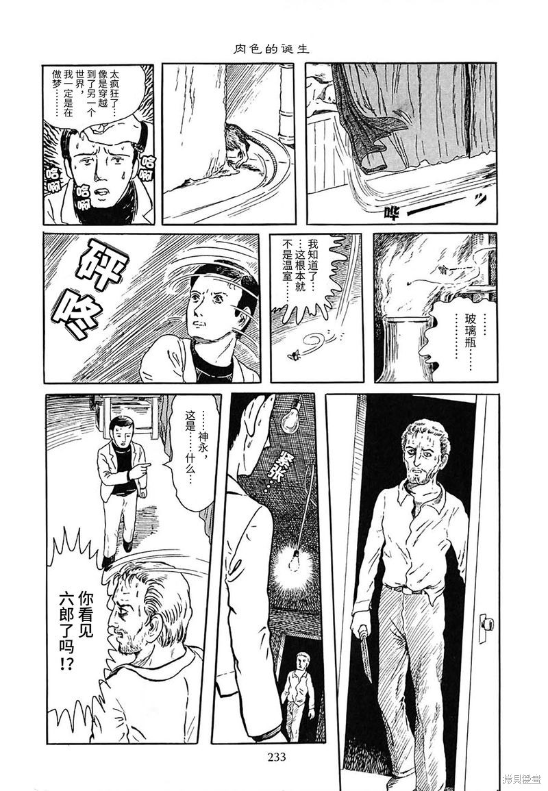 肉色的诞生0