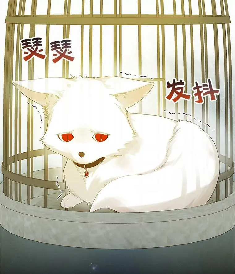 11.兽人1