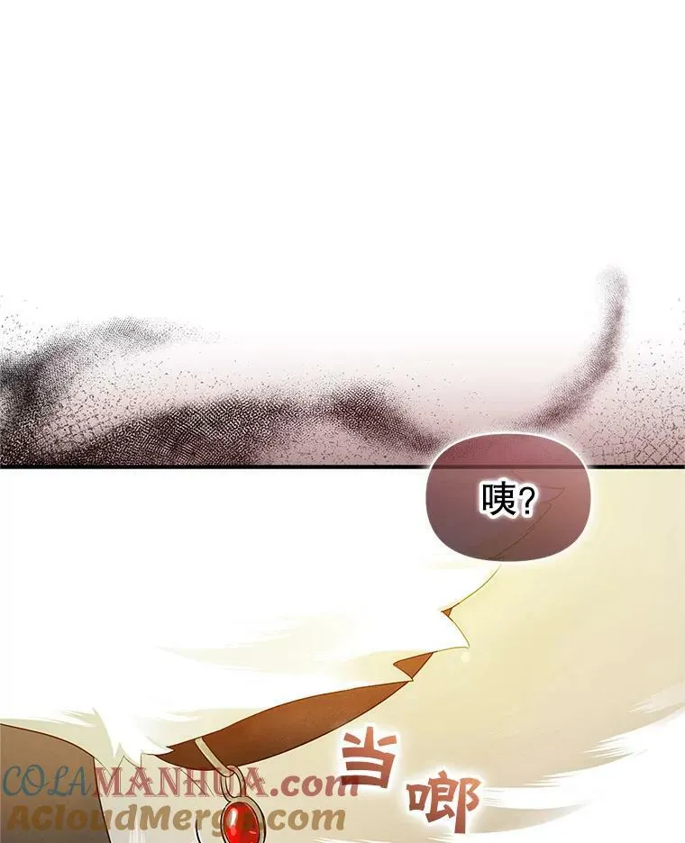 11.兽人0