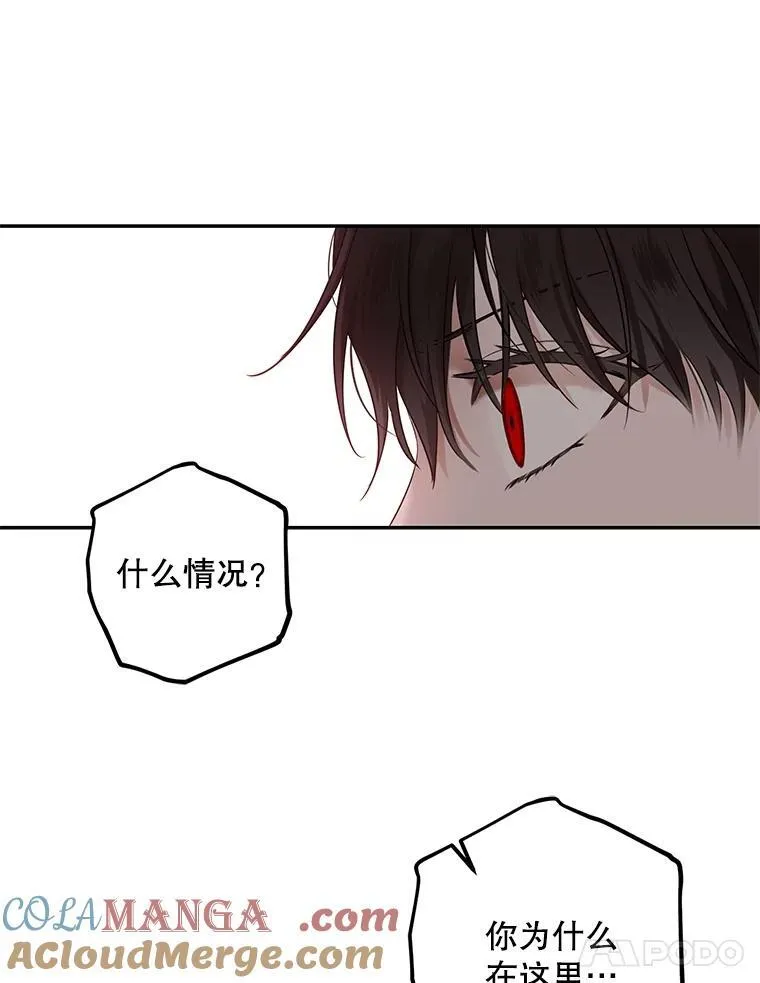 106.尽在计划之中0